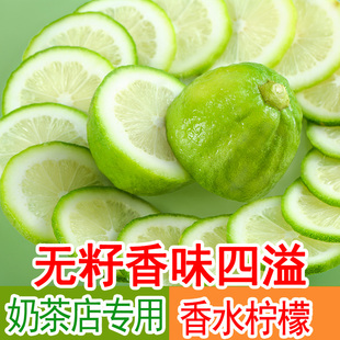 广东香水柠檬无籽新鲜皮薄多汁一级青柠檬果园现摘奶茶店专用