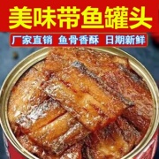 6罐巨划算即食五香带鱼罐头香辣带鱼熟食下饭菜鱼肉海产品