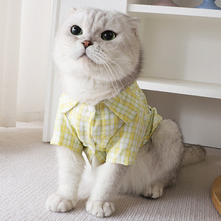 猫咪夏天衣服可牵引黄色格子衬衫，春天外出专用薄款夏装德文猫短袖