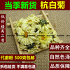 菊花茶胎菊王桐乡杭白菊 正宗特级杭州胎菊花 贡菊500g茶叶 朵菊