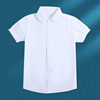 2024夏季女童花边领短袖白色衬衫，中大童小学生，校服半袖白衬衣(白衬衣)