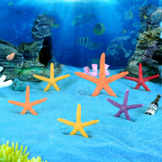 微景观树脂工艺品水族鱼缸造景装饰品迷你彩色五角小海星装饰摆件