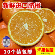 进口脐橙新奇士(新奇士，)鲜橙橙子甜多汁当季时令新鲜水果，中大果35