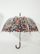拱形公主遮阳伞折叠雨伞鸟笼款防晒防紫外线晴雨两用伞拍照透明伞