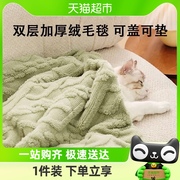 猫咪毯子宠物毛毯秋冬天小被子狗狗睡垫，地垫地毯猫窝睡觉用