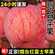 烟台红富士苹果水果10斤当季整箱正宗山东栖霞新鲜苹果