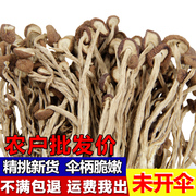新货茶树菇干货500g不开伞江西广昌特产茶薪菇 新鲜现摘农家自产