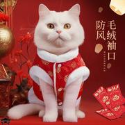 中国风东北大红棉衣泰迪，比熊小型幼犬狗狗，秋冬装宠物猫咪衣服