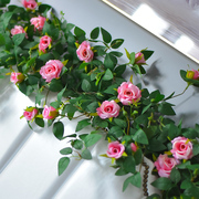 仿真玫瑰花藤假花藤条绿植，门头空调管道装饰塑料藤，w蔓瀑布墙壁造