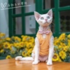 GINGERAIN 德文猫衣服无毛猫纯棉坑条深V蝴蝶结甜美风背心打底衫