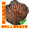 内蒙古阿拉善肉苁蓉药材野生特级切片中干片泡水泡酒250g