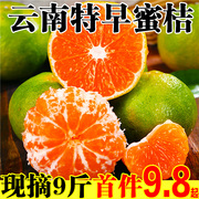 【9斤装】特早熟云南蜜桔橘子新鲜水果