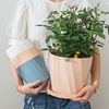 塑料花盆家用月季玫瑰专用盆，大号绿萝仿陶瓷多肉加厚盆栽