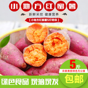 正宗漳州六鳌大个地瓜农家蔬菜红蜜薯沙地自种新鲜红心红薯5斤装