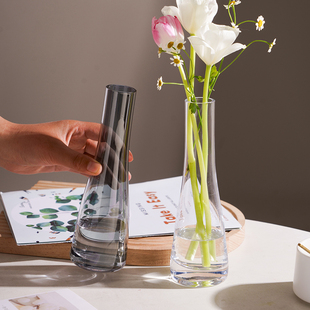 北欧ins风创意简约玻璃花瓶，透明水养鲜花客厅水培单支插花瓶摆件