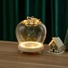 圣诞节祝福送礼物创意平安夜苹果手办盲盒人偶防尘罩灯光玻璃罩