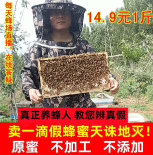 纯蜂蜜纯正天然成熟原蜜农家，自产百花蜜，野生宗枣洋槐野山花土蜂蜜