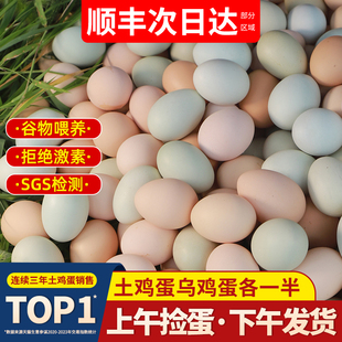 鸡蛋新鲜40枚正宗农家，散养农村无抗草鸡蛋，整箱柴乌绿壳土鸡蛋
