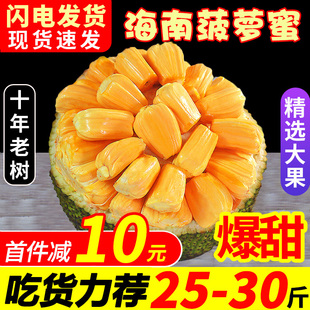 海南三亚菠萝蜜，新鲜水果波罗蜜当季特产，一整个20-40斤整箱红