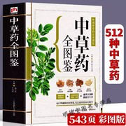 中草药全图鉴中国中草药实用配对与禁忌李时珍本草纲目药用植物一看就懂中药中药材识别鉴别与应用神农本草经青草药实用大辞典书籍