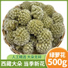 绿萝花茶500g 西藏野生绿萝花 结香花 雪里花 另售苦瓜干片桑叶