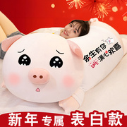 2024新年猪猪公仔毛绒玩具女生玩偶抱枕睡觉抱着女孩娃娃生日礼物