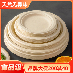 一次性餐盘餐具食品级盘子碗筷碟子加厚纸盘可降解画画烧烤家用