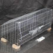 兔兔笼子两笼位加粗加密獭兔笼母兔产仔母兔笼兔兔配对养殖育肥笼