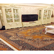 新疆民族特色和田纯羊毛手工一体地毯客厅大地毯五平方
