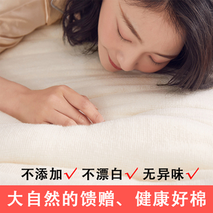定制新疆棉花褥子双人1.8m床褥榻榻米垫被全棉絮加厚单人床垫