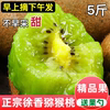 陕西眉县徐香猕猴桃5斤绿心奇异果水果当季整箱新鲜猕猴桃