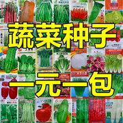 四季蔬菜种子香葱黄瓜青菜萝卜青菜辣椒菜籽种籽阳台盆栽