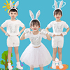六一儿童表演服小兔子演出服幼儿园，小学生舞蹈动物服白色纱裙夏季