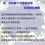 99朵蓝色妖姬蓝玫瑰鲜花，同城速递深圳广州成都，重庆武汉.花店送花