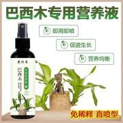 巴西木专用型营养液养花肥料盆栽通用幸运木水培水养植物肥料家用