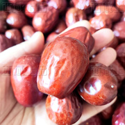 新疆特产和田四星大红枣，天然食用农产品散货500g