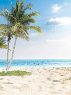 儿童夏天椰树海景摄影背景，布蓝天白云沙滩写真喷绘室内背景道具