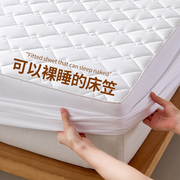 床笠床罩床垫保护垫全包，夹棉抗菌防螨席梦思，保护套防水床笠罩2024