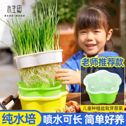 儿童种植小盆栽幼儿园学生，观察水培diy农场，创意迷你植物观察生长