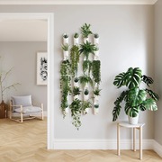 加拿大umbra壁挂式花架花盆套装家用客厅墙面收纳架悬挂装饰现代