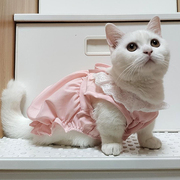 猫咪衣服夏季薄款防掉毛幼猫英短布偶公主裙宠物可爱背心猫猫裙子