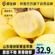 正宗山东维纳斯黄金苹果6粒起当应季时令新鲜水果整箱