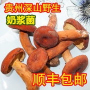 新鲜奶(新鲜奶)浆菌贵州深山野生蘑菇，新鲜现摘奶浆菌食用菌黄枞菌