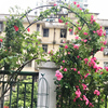 庭院铁艺葡萄引路架r拱门花架蔷薇爬藤架子月季丝瓜拱形花支