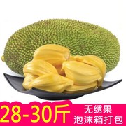 带箱28-30斤海南黄肉新鲜热带水果波罗蜜大树菠萝蜜木菠萝。