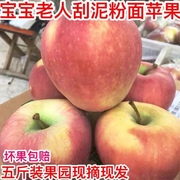 山东红星苹果红香蕉苹果宝宝刮泥老人吃粉面苹果农家水果非蛇果