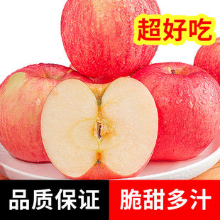 苹果正宗山东烟台红富士，新鲜苹果水果新鲜水果当季栖霞丑平果整箱