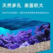 蓝色珍品海缸造景珊瑚沙海沙菲律宾沙天然鱼缸沙底砂子海砂珊瑚骨