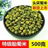 菊花茶桐乡胎菊米头采特级正宗杭白菊贡菊花茶500g散装新花草茶叶