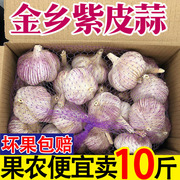 山东金乡紫皮大蒜头干蒜5斤2023新鲜祘头籽，10斤农家整箱